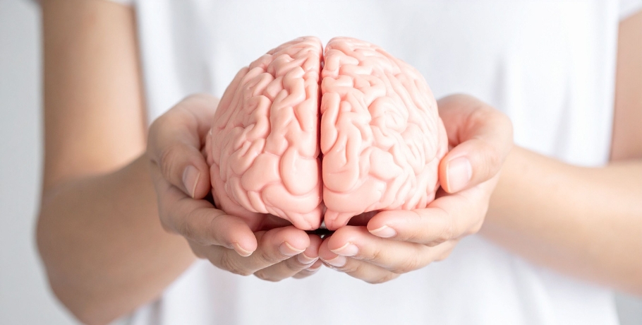 Het voedingstekort dat de hersenen al bij jonge volwassenen kan beïnvloeden