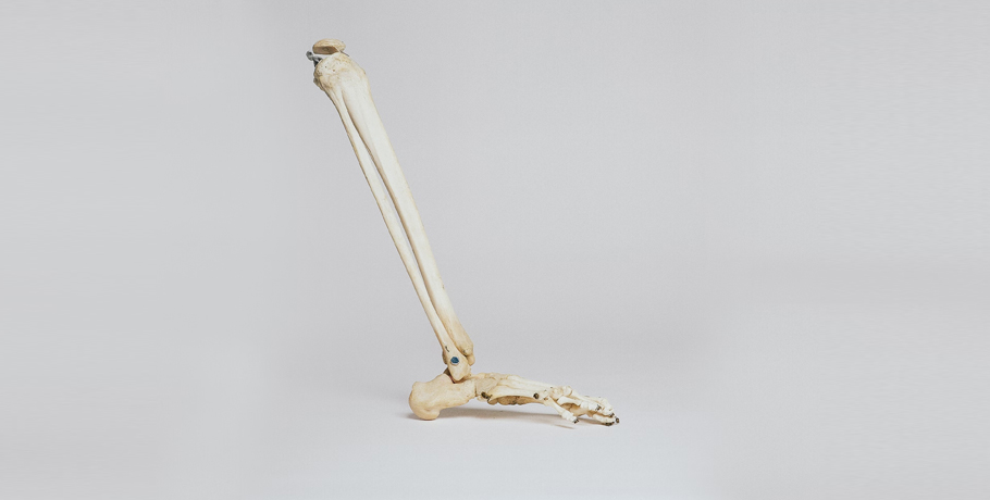 Alles wat je moet weten over calcium