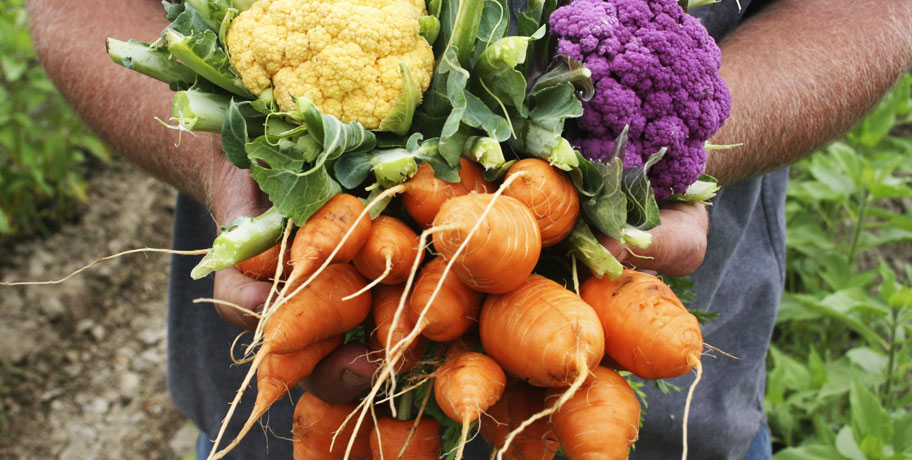 Waarom hebben we gekozen voor MegaFood en Innate Response?