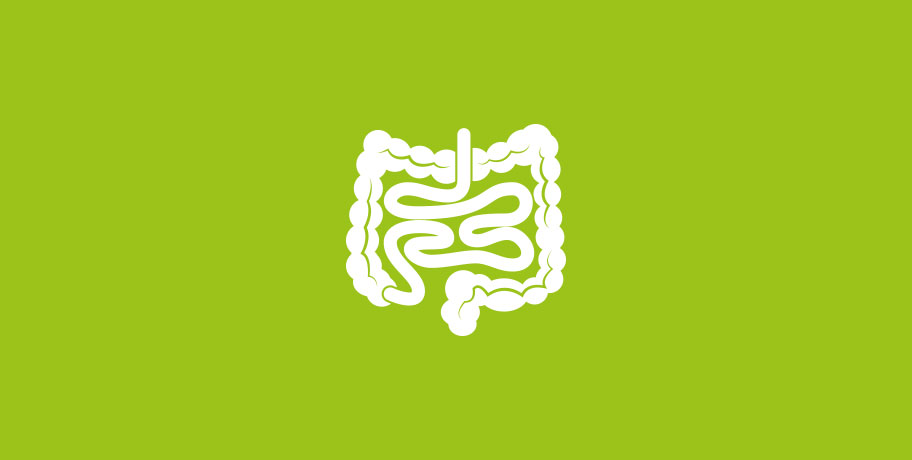 Glutamine – de beste vriend van je darmen